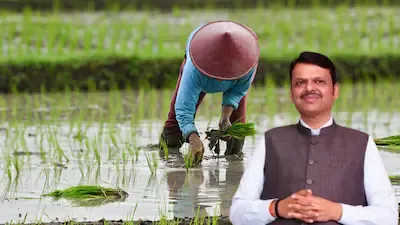 शेतकऱ्यांसाठी आनंदाची बातमी! कोल्हापुरात कर्जमाफीच्या याद्या उद्यापासून प्रसिद्ध होणार