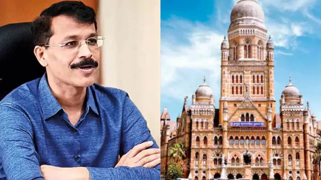 मुंबई पालिकेच्या कँटीनवर FDA चा दणका! ताकात माशी आढळल्याने कँटीन सील; ठोकला ५० हजारांचा दंड