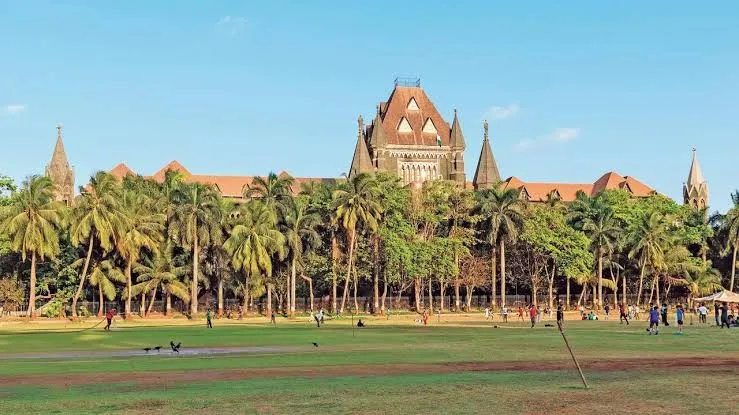 मुंबईला आंतरराष्ट्रीय शहर बनवायचे असेल तर स्वच्छतेवर भर द्या; उच्च न्यायालयाचे निर्देश