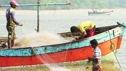 अवैध मासेमारी रोखण्यासाठी महाराष्ट्र-गोवा समन्वय; नितेश राणेंचा पुढाकार