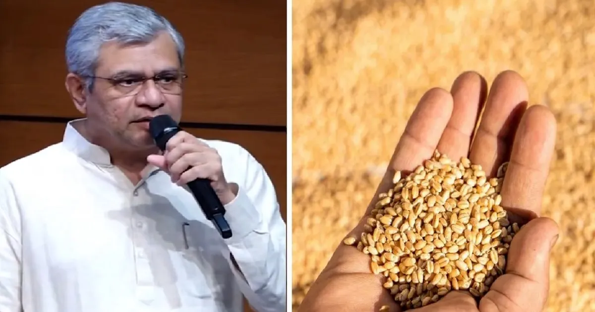 शेतकऱ्यांसाठी मोठी खुशखबर! रब्बी पिकांच्या MSPमध्ये वाढ; गहू, हरभरा, मोहरीसह ६ पिकांना वाढीव हमीभाव