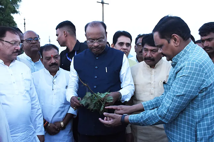 यवतमाळच्या दुष्काळी भागात बावनकुळे; ‘शेतकऱ्यांच्या मदतीत कोणतीही कमतरता पडू देणार नाही’