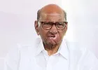 "हा लढा लोकशाहीचे जिवंत प्रतीक..."; NEET पेपरफुटीनंतर शिक्षणमंत्र्यांच्या राजीनाम्यावर शरद पवारांची पहिली प्रतिक्रिया