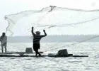 उजनी धरणातील मासेमारी ठेकेदारीला स्थगिती; पारंपरिक मच्छीमारांच्या उपोषणाला यश