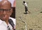 दुष्काळाच्या मुद्द्यावर दानवेंचा पवारांना सवाल; ठाकरे बंधूंसह विरोधकांवर साधला निशाणा