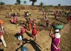 मंगळवेढ्यात रोजगाराचा प्रश्न गंभीर; रोजगार हमी मंत्र्यांकडे मागणी
