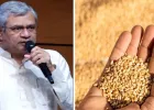 शेतकऱ्यांसाठी मोठी खुशखबर! रब्बी पिकांच्या MSPमध्ये वाढ; गहू, हरभरा, मोहरीसह ६ पिकांना वाढीव हमीभाव