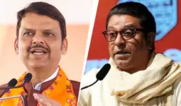 शिंदे गेले की फडणवीस जातात.... देवेंद्र फडणवीस यांच्या केंद्रात जाण्याच्या चर्चांवर राज ठाकरेंचा टोला