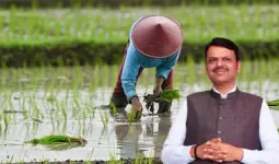 शेतकऱ्यांसाठी आनंदाची बातमी! कोल्हापुरात कर्जमाफीच्या याद्या उद्यापासून प्रसिद्ध होणार