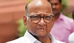 दोन्ही राष्ट्रवादी एकत्र येणार नाहीत; शरद पवारांचे स्पष्ट विधान