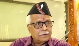 शिवाजी पार्कवरील जल्लोषावरून प्रकाश महाजनांचा ठाकरे बंधूंवर हल्लाबोल; राजकीय वर्तुळात चर्चेला उधाण
