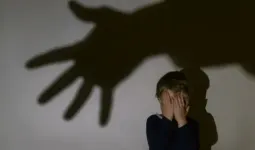 २४ तासांत तीन अल्पवयीन मुलांचा शोध; वाई पोलिसांची तत्पर कारवाई