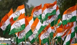 गोवा काँग्रेसमध्ये अंतर्गत कलह; शर्मिला सिद्दीकींचे राहुल गांधींवर गंभीर आरोप