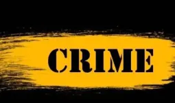 पाणीपुरी खाण्याच्या बहाण्याने सोनसाखळी चोरी; कोथरूड मध्ये ज्येष्ठ महिलेची फसवणूक