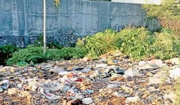 कामशेतमध्ये कचऱ्याचा प्रश्न गंभीर; ५ लाख खर्चूनही स्वच्छता कोलमडली