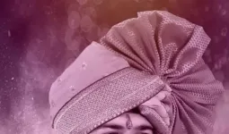 कुणबी जात प्रमाणपत्र अवैध; दौंडचे नगरसेवक रोहित पाटील यांचे पद रद्द