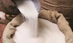 सणासुदीत महागाईचा तडाखा; डाळींसह साखरेचे दर वाढल्याने मिठाई महागणार