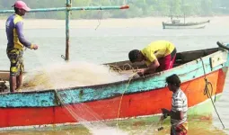 अवैध मासेमारी रोखण्यासाठी महाराष्ट्र-गोवा समन्वय; नितेश राणेंचा पुढाकार