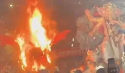 साताऱ्यात गणपती आगमन मिरवणुकीत मोठी दुर्घटना टळली; डायनासॉरच्या देखाव्याला आग