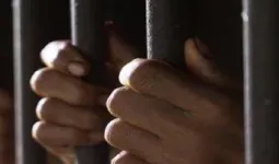 चारित्र्याच्या संशयातून पत्नीची हत्या; सातारा पोलिसांनी १२ दिवसांनी आरोपी पतीला बेड्या ठोकल्या