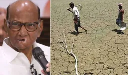 दुष्काळाच्या मुद्द्यावर दानवेंचा पवारांना सवाल; ठाकरे बंधूंसह विरोधकांवर साधला निशाणा