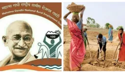 ग्राम रोजगार सहाय्यकांसाठी मोठी बातमी; मानधन थेट ८ हजार रुपये, २ टक्के प्रोत्साहनपर भत्ता
