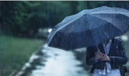 राज्यात मान्सूनच्या परतीची चाहूल; मराठवाडा, कोकणासह मध्य महाराष्ट्रात पावसाचा अंदाज