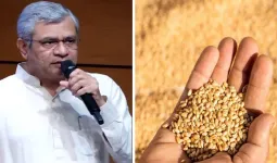 शेतकऱ्यांसाठी मोठी खुशखबर! रब्बी पिकांच्या MSPमध्ये वाढ; गहू, हरभरा, मोहरीसह ६ पिकांना वाढीव हमीभाव