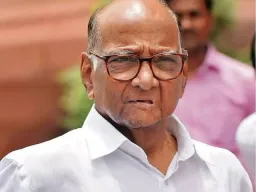 दोन्ही राष्ट्रवादी एकत्र येणार नाहीत; शरद पवारांचे स्पष्ट विधान