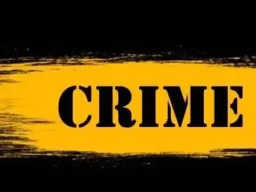 पाणीपुरी खाण्याच्या बहाण्याने सोनसाखळी चोरी; कोथरूड मध्ये ज्येष्ठ महिलेची फसवणूक