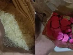 पुणे रेल्वे स्थानकावर अमली पदार्थ विरोधी कारवाई; महिला प्रवासी अटकेत