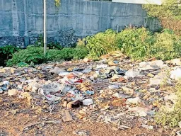 कामशेतमध्ये कचऱ्याचा प्रश्न गंभीर; ५ लाख खर्चूनही स्वच्छता कोलमडली