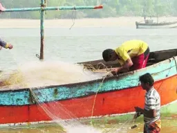 अवैध मासेमारी रोखण्यासाठी महाराष्ट्र-गोवा समन्वय; नितेश राणेंचा पुढाकार