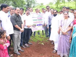 रायगडमध्ये काजू-आंबा लागवडीला वेग; शेतकऱ्यांच्या शाश्वत उत्पन्नावर भर 