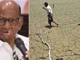 दुष्काळाच्या मुद्द्यावर दानवेंचा पवारांना सवाल; ठाकरे बंधूंसह विरोधकांवर साधला निशाणा