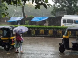 राज्यात पुन्हा पावसाचा जोर; विदर्भ-कोकणात ‘यलो अलर्ट’, अपुऱ्या पावसाने शेतकरी चिंतेत