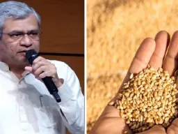 शेतकऱ्यांसाठी मोठी खुशखबर! रब्बी पिकांच्या MSPमध्ये वाढ; गहू, हरभरा, मोहरीसह ६ पिकांना वाढीव हमीभाव