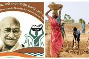 ग्राम रोजगार सहाय्यकांसाठी मोठी बातमी; मानधन थेट ८ हजार रुपये, २ टक्के प्रोत्साहनपर भत्ता