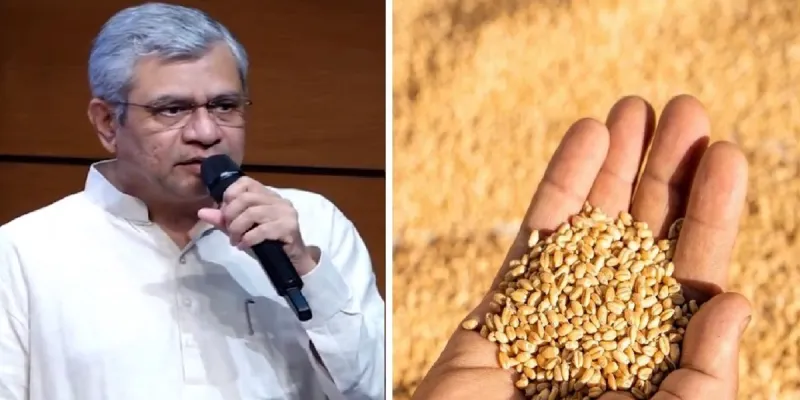 शेतकऱ्यांसाठी मोठी खुशखबर! रब्बी पिकांच्या MSPमध्ये वाढ; गहू, हरभरा, मोहरीसह ६ पिकांना वाढीव हमीभाव