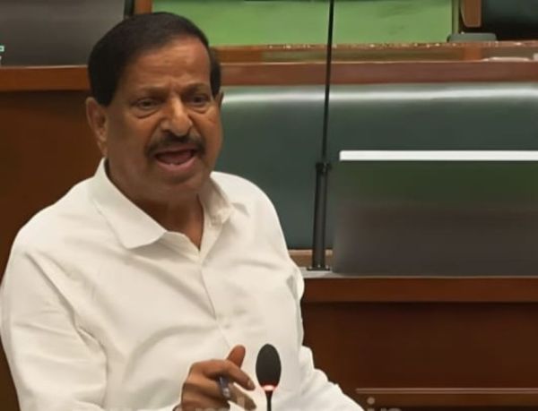 वन क्षेत्रातील निर्धारित जागांवर मेंढ्यांना चराई करण्यास परवानगी - वन मंत्री गणेश नाईक