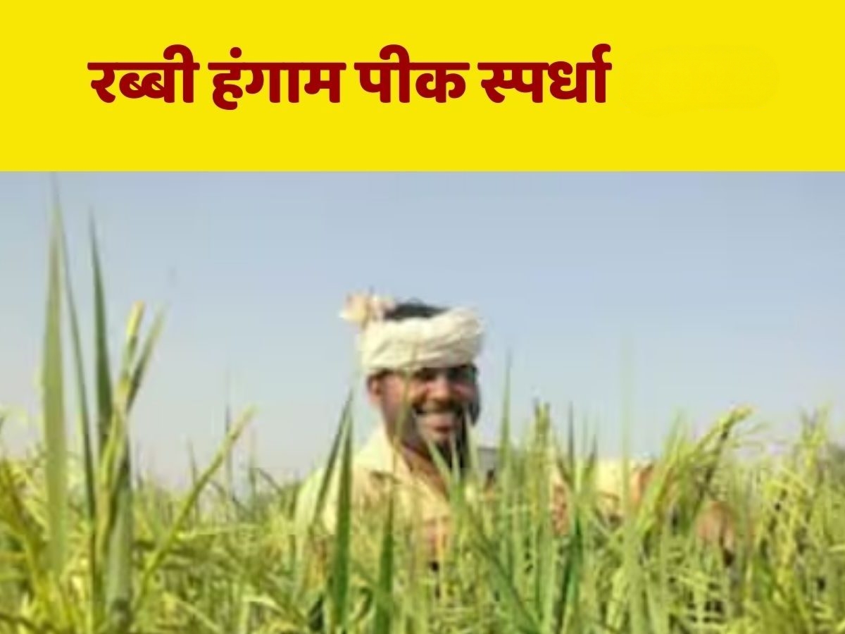 राज्यांतर्गत रब्बी हंगाम पिकस्पर्धेचे आयोजन