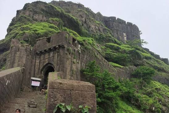 सिंहगड किल्ल्यावर धार्मिक तेढ निर्माण करण्याचा प्रयत्न; वादग्रस्त फलक लावणाऱ्या अज्ञात व्यक्तीवर गुन्हा दाखल