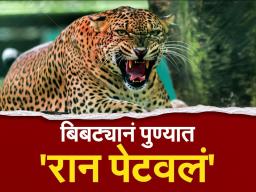 बिबट्याची दहशत; शाळांच्या वेळा बदलल्या 