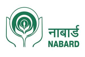 नाबार्ड कडून या जागा भरल्या जाणार.... काय असेल पात्रता जाणून घ्या सविस्तर 