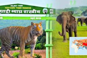 सह्याद्री व्याघ्र व चांदोली राष्ट्रीय उद्यानातील बाधीत गावांच्या पुनर्वसनाच्या कामांचा जिल्हाधिकारी संतोष पाटील यांनी घेतला आढावा