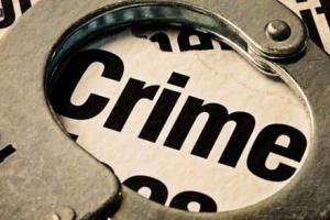 सराईत गुन्हेगारांना पोलीस कोठडी ; 32 हजरांचा मुद्देमाल जप्त 