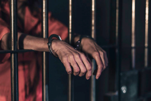 घायवळ टोळीचा सदस्य पोलिसांच्या हाती; 200 काडतूसे केली जप्त 